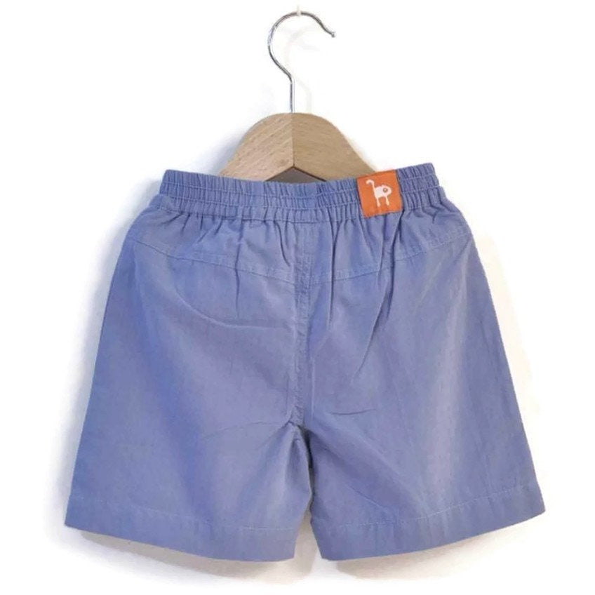 The Blue Surf Shorts